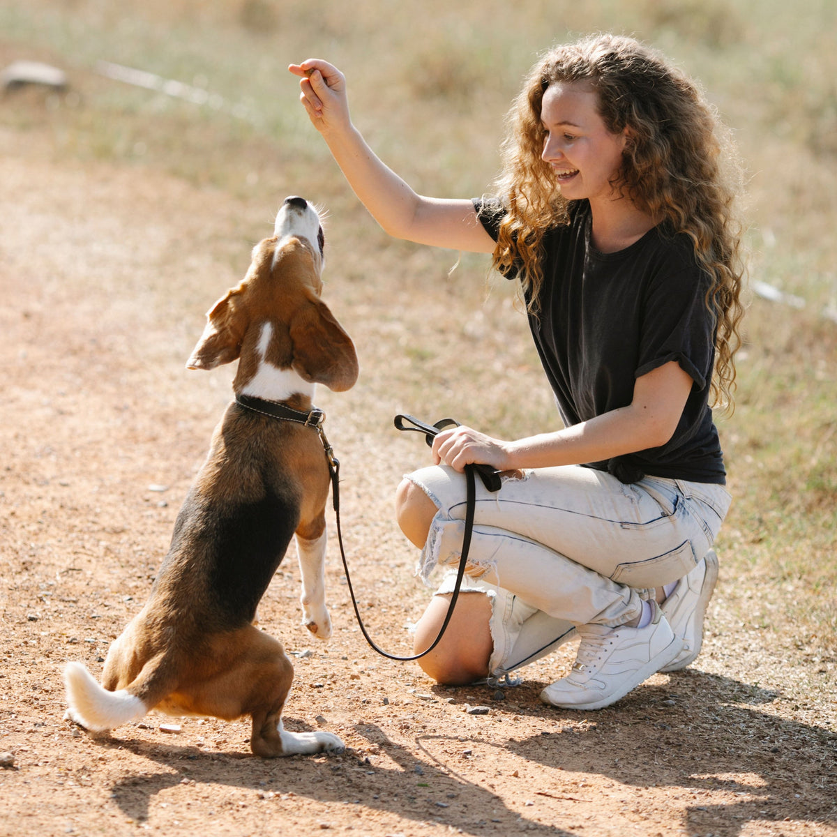 Sicurezza e addestramento degli animali domestici-53