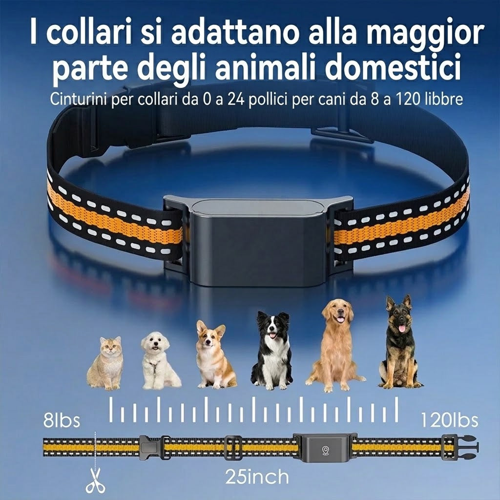 WagiPoint