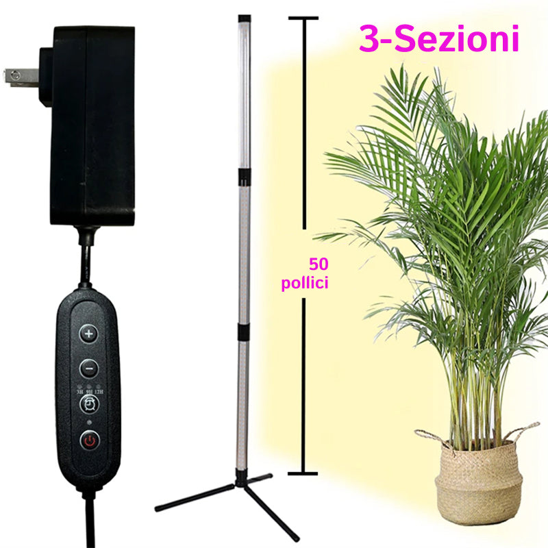 FloraFluxi