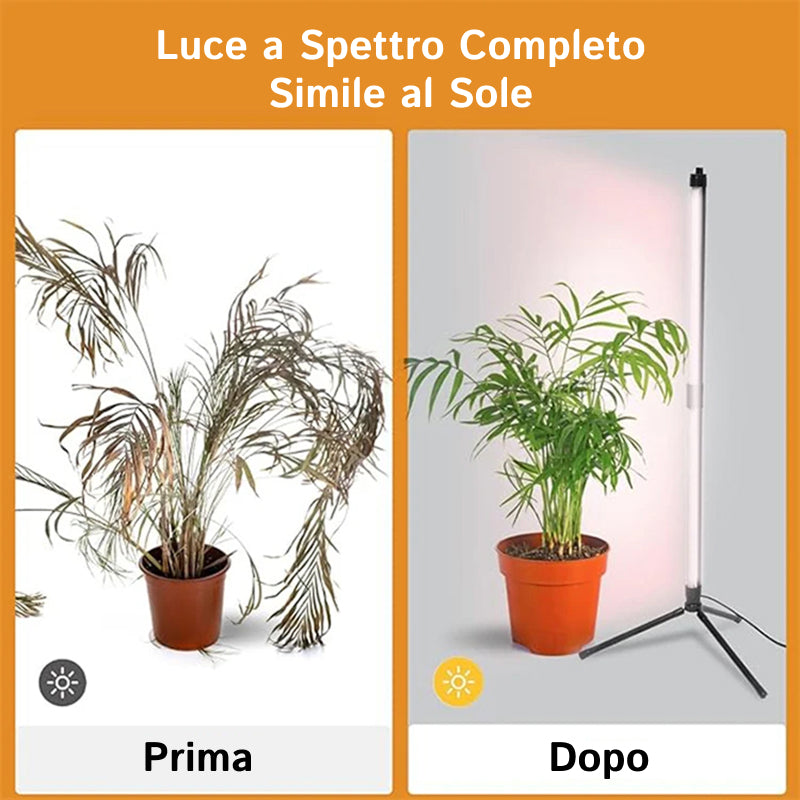 FloraFluxi