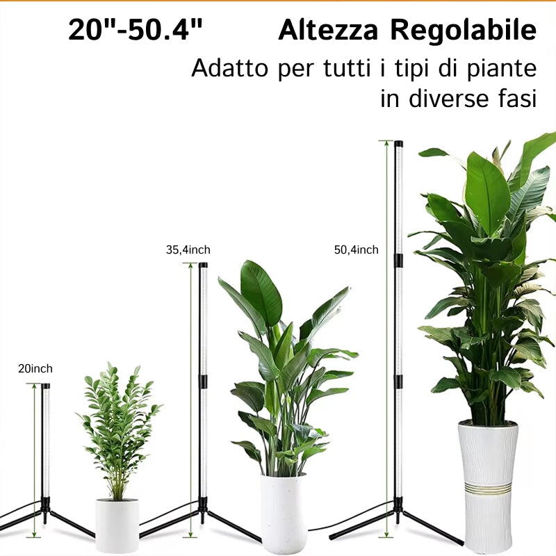 FloraFluxi